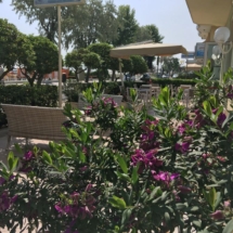 GIARDINO HOTEL ROSATI